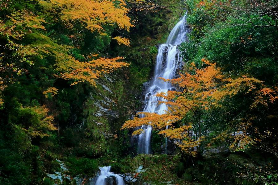 鳴滝（なるたき）【徳島県つるぎ町】