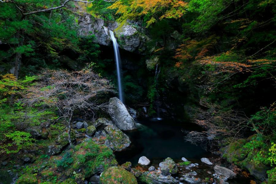 新居田の滝（にいだのたき）・【徳島県那賀郡那賀町】