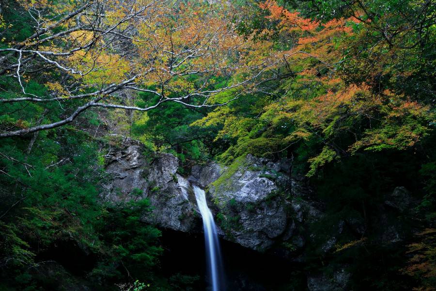 新居田の滝(にいだのたき)・【徳島県那賀郡那賀町】