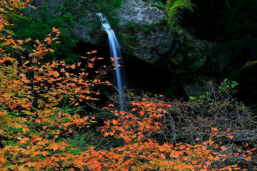 新居田の滝（にいだのたき）・【徳島県那賀郡那賀町】