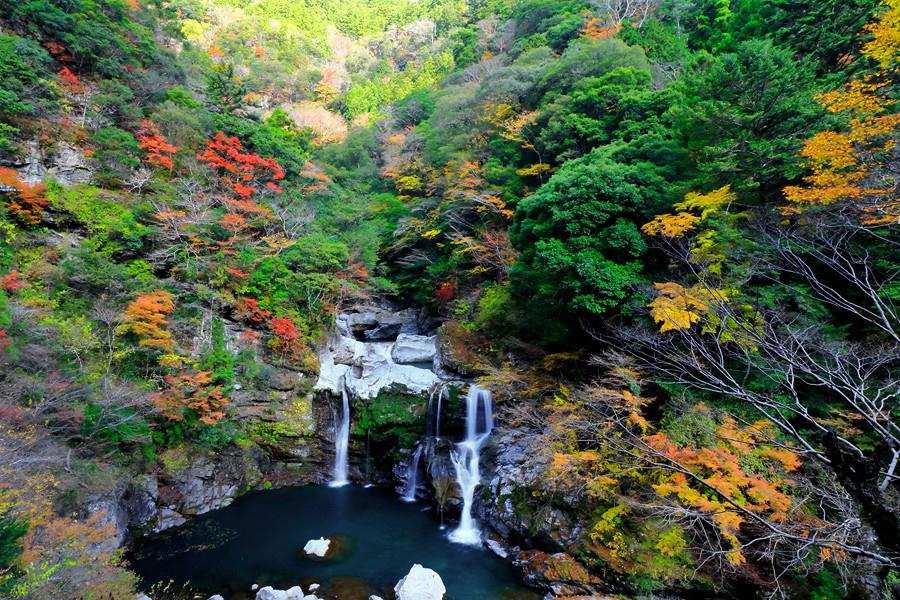 大轟の滝（おおとどろのき）　【徳島県那賀町】