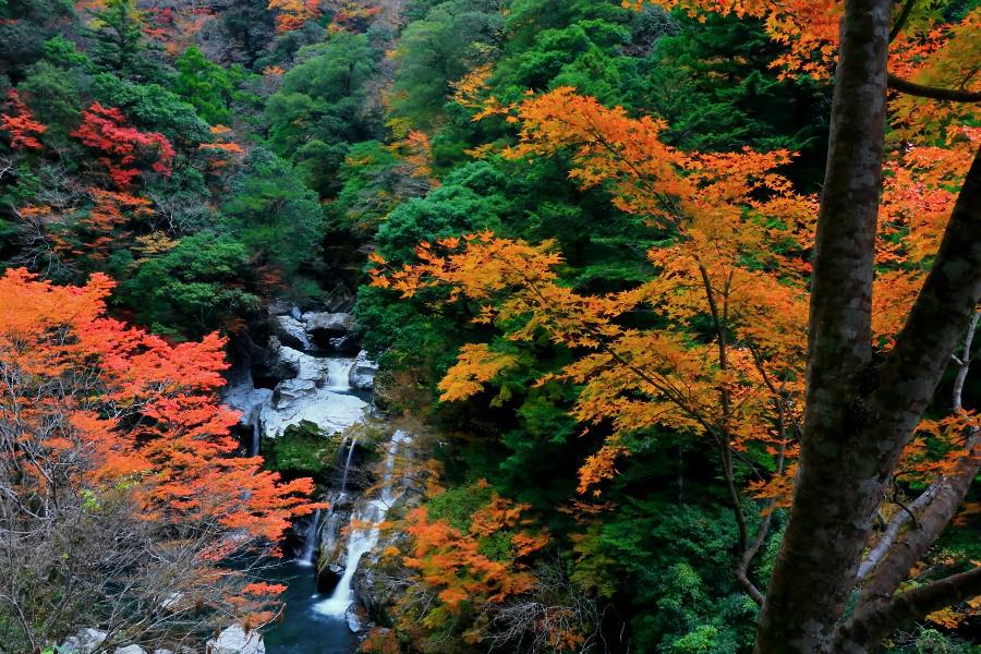 大轟の滝(おおとどろのき) 【徳島県那賀町】