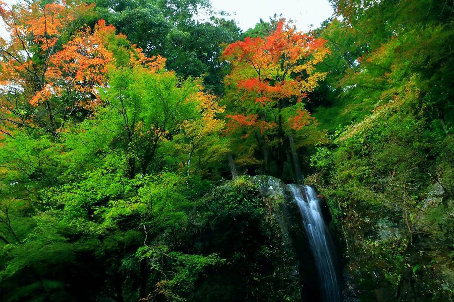 洗心の滝・徳島県勝浦町