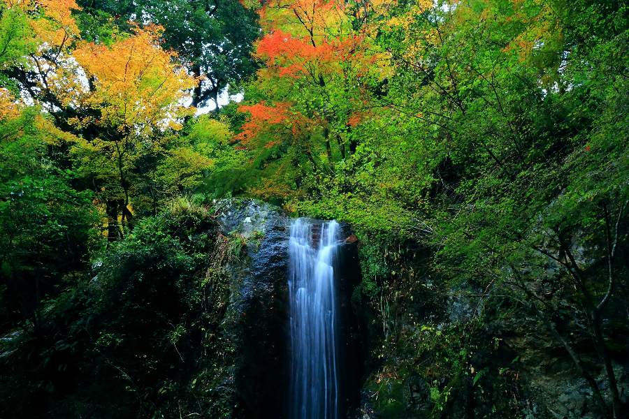 洗心の滝・徳島県勝浦町
