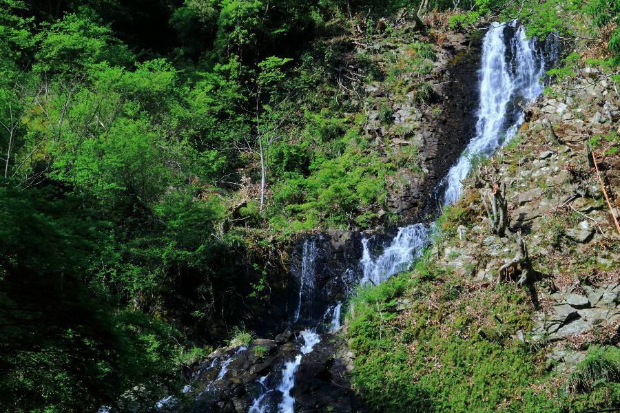 旭滝　（あさひたき）　【静岡県伊豆市】