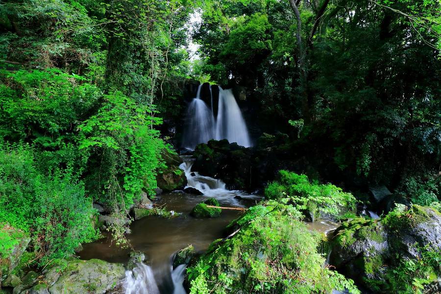 不動の滝（ふどうのたき）　【静岡県裾野市】　《偕楽園》