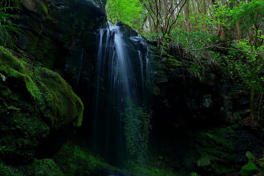 古滝01・静岡県小山町