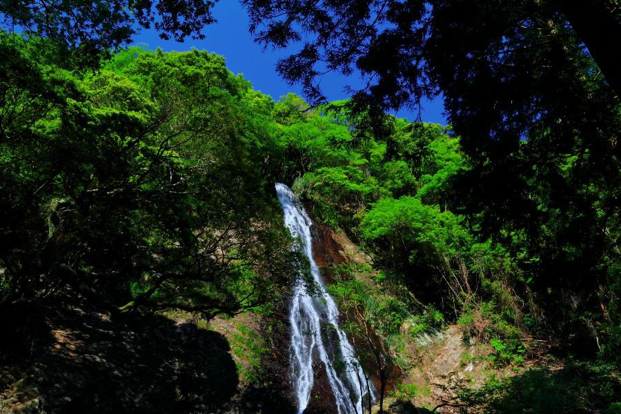 神洞滝（じんぼらたき）　【静岡県西伊豆町】