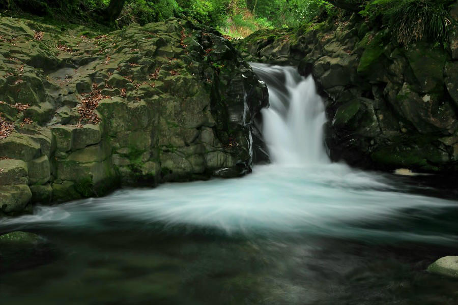 カニ滝（かにだる）・河津七滝（かわづななだる）【静岡県河津町】