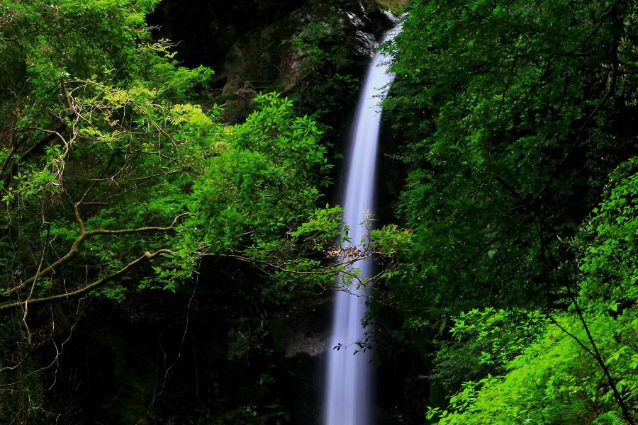 雉ヶ尾の滝（きじがおのたき）　【静岡県沼津市】