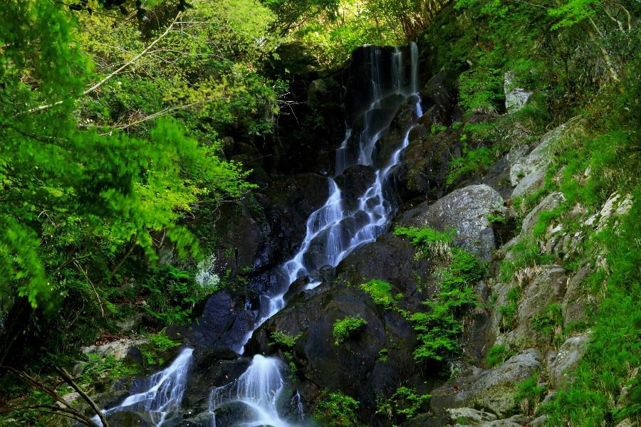 恵の滝（めぐみのたき）　【静岡県西伊豆町】