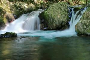 竜姿の滝　（静岡県）