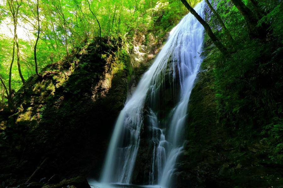 三方滝　【静岡県西伊豆町】