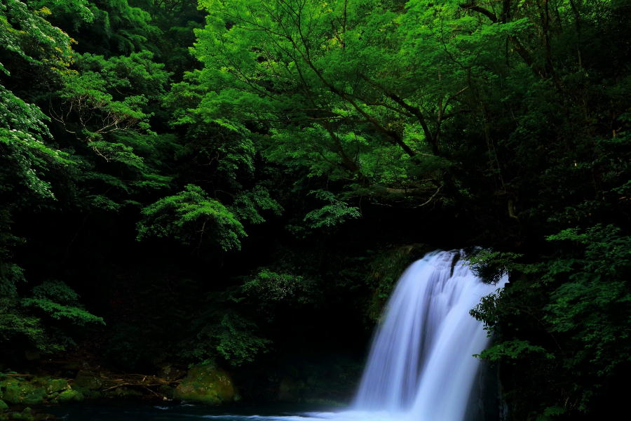 初景滝・静岡県河津町