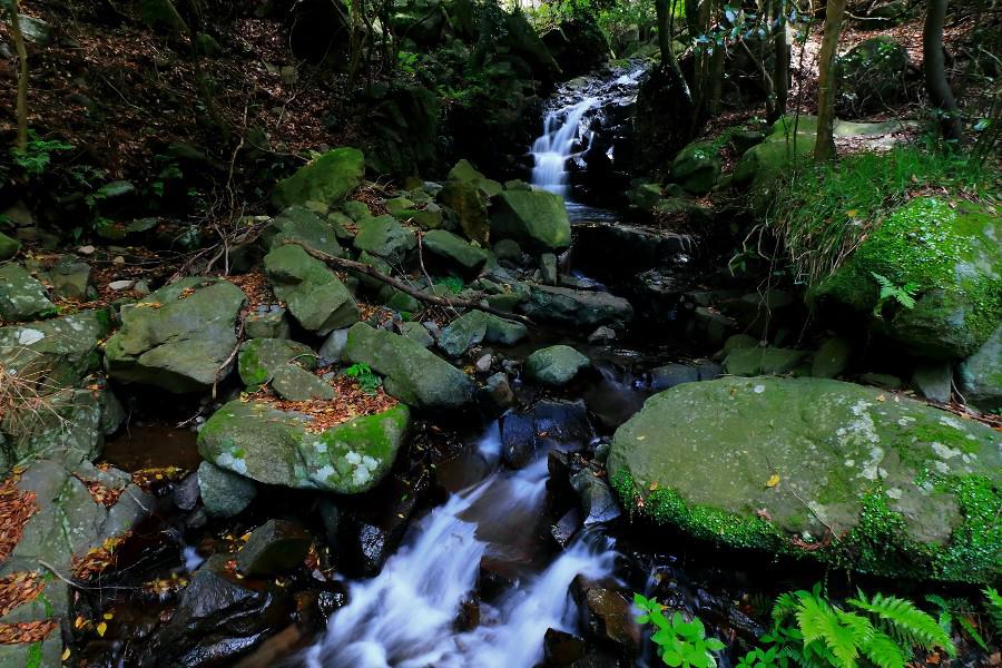 よしの滝（よしのたき）　【静岡県沼津市】