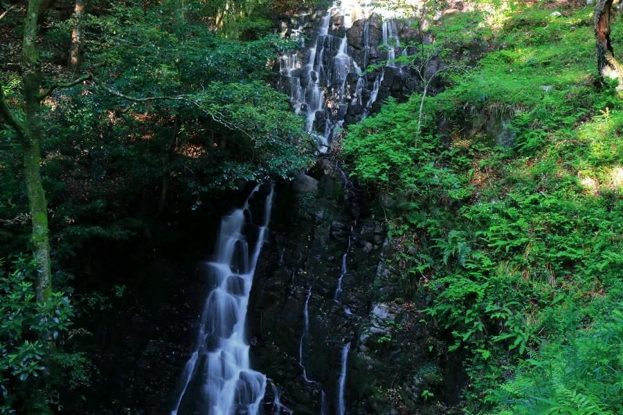 雄飛滝　（ゆうひたき）　【静岡県伊豆市】