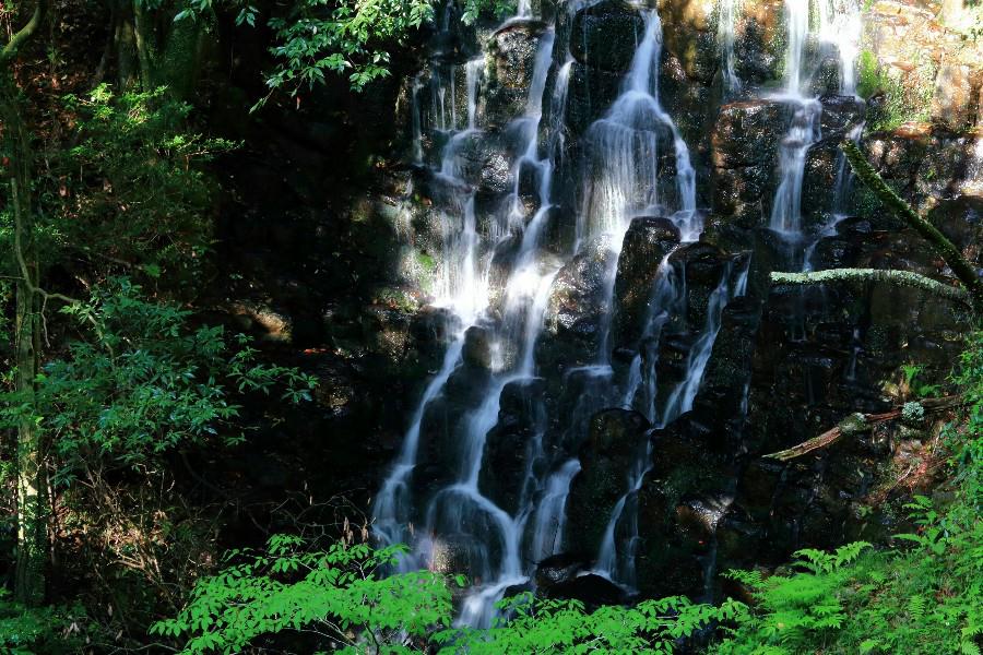 雄飛滝　（ゆうひたき）　【静岡県伊豆市】