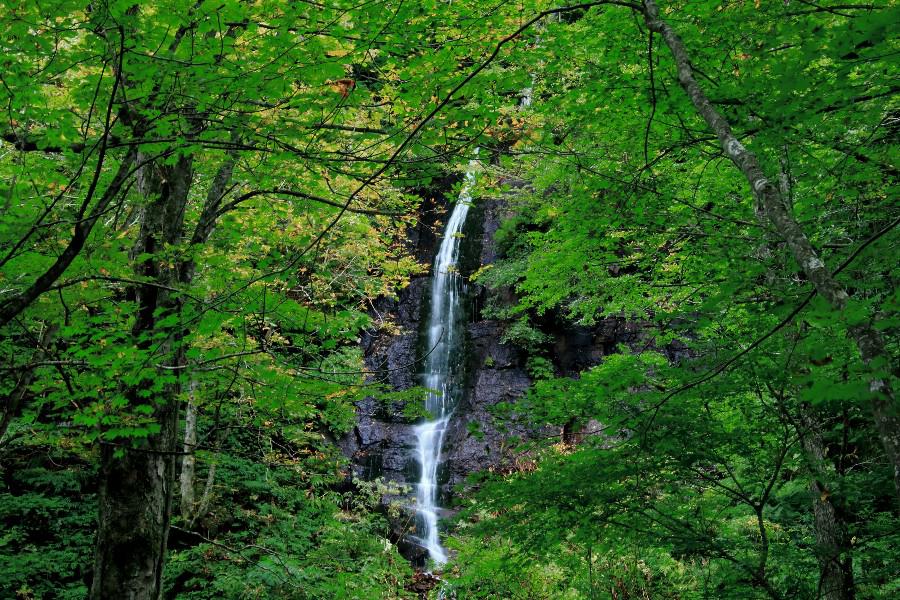 不老の滝　（ふろうのたき）　【青森県十和田市】　《奥入瀬渓流》