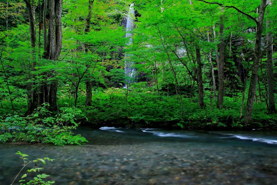 白糸の滝　（しらいとのたき）　【青森県十和田市】　《奥入瀬渓流》