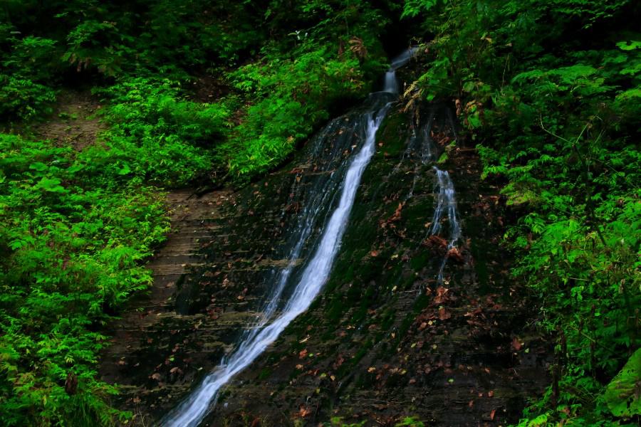 玉簾の滝　（たまだれのたき）【青森県十和田市】　《奥入瀬渓流》