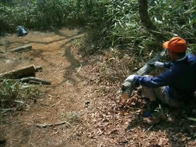 福島県野生動植物保護サポーター