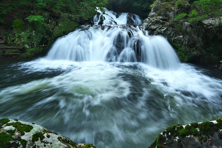 中野白滝(なかのしらたき)【岩手県久慈市】
