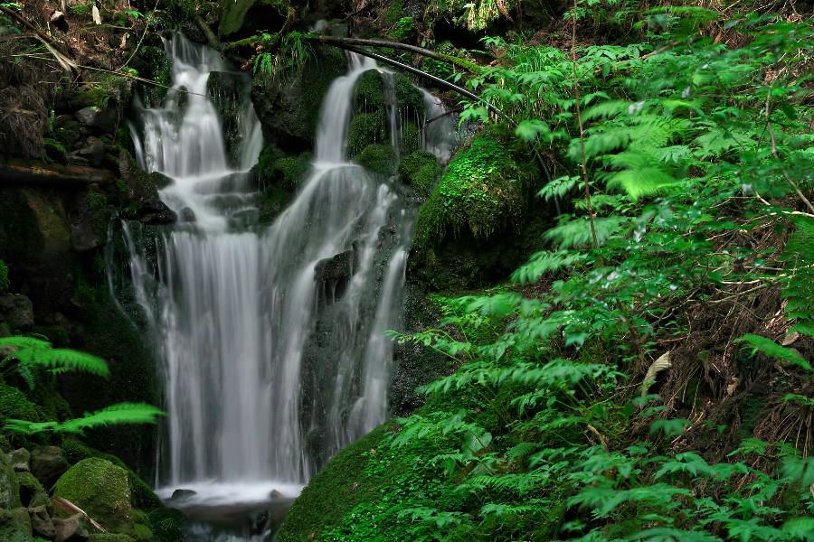胴腹滝（どうはらのたき）【山形県遊佐町】