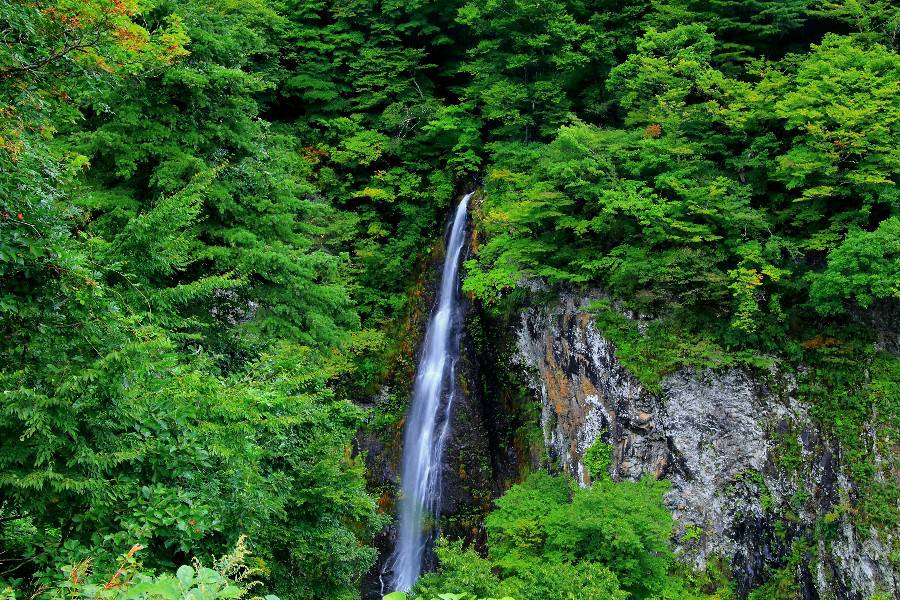 米の粉の滝（こめのこのたき）・山形県鶴岡市