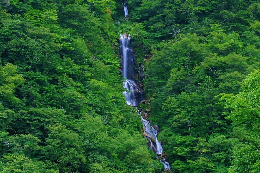蛇王の滝