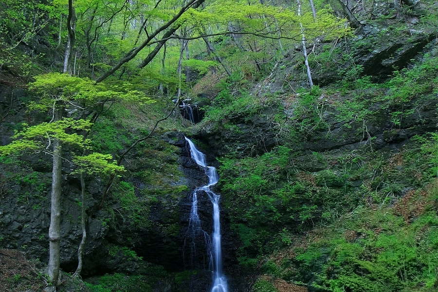 連珠の滝