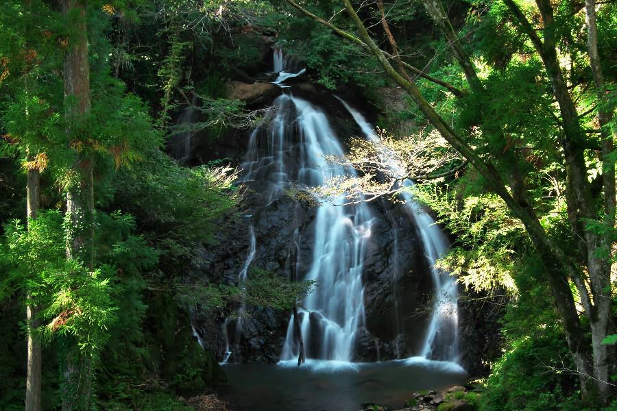 勝蓮花の滝（しょうれんげのたき）【福井県越前町】