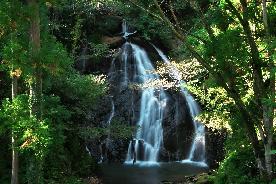 勝蓮華の滝（しょうれんげのたき）【福井県越前町】