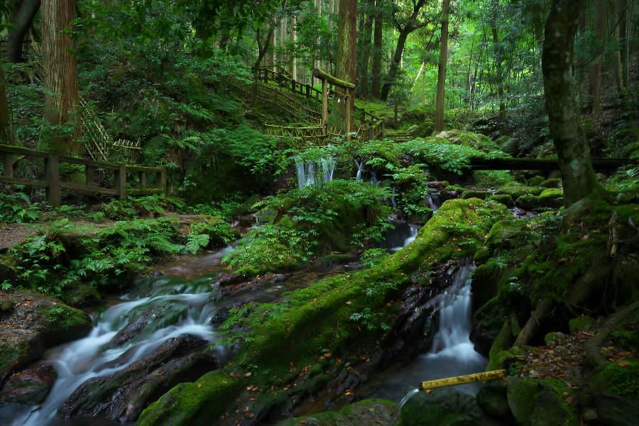 瓜割の滝(うりわりのたき)【福井県若狭町】