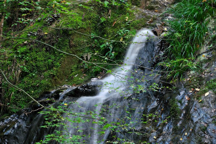 愛蓮の滝(あいれんのたき)【岐阜県下呂市】