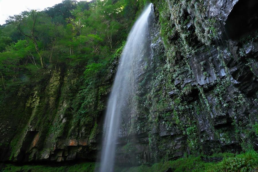 阿弥陀ヶ滝(あみだがたき)【岐阜県郡上市】≪日本の滝百選≫