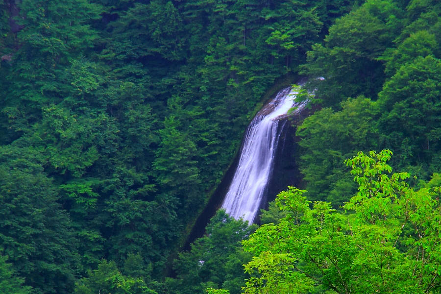 箕谷大滝