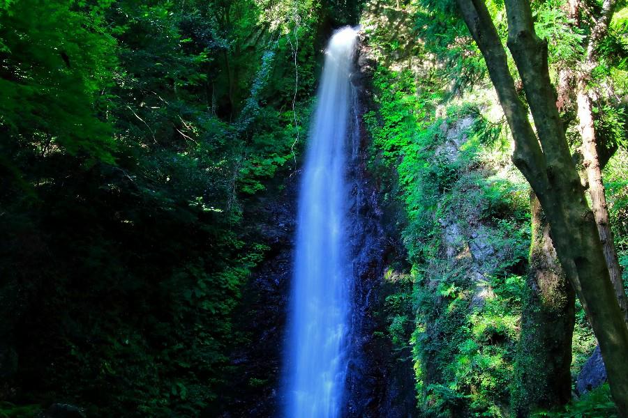 養老の滝