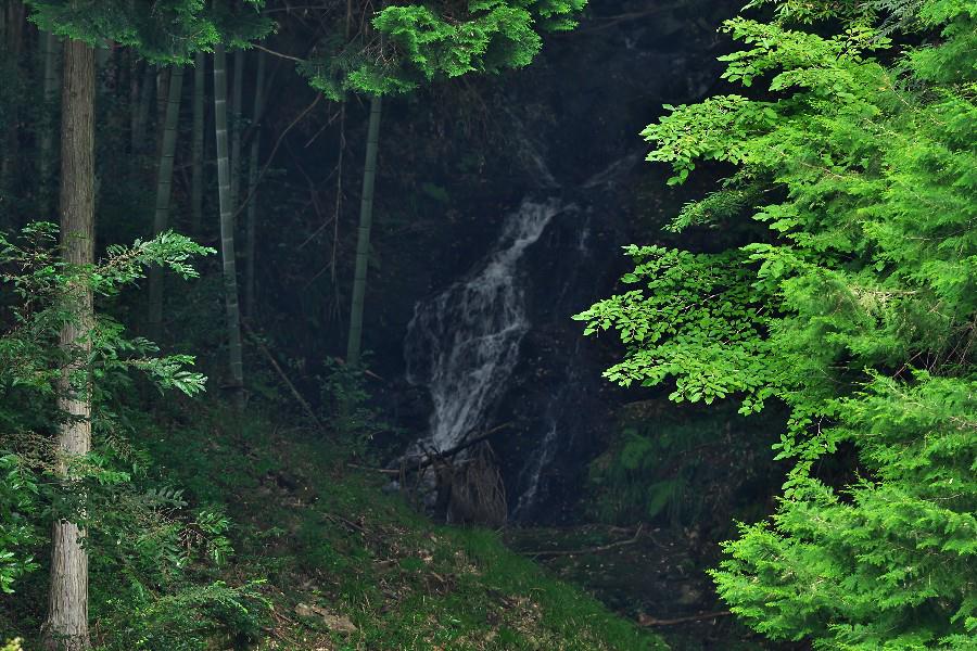 猪屋の滝（いのやのたき）【岡山県鏡野町】