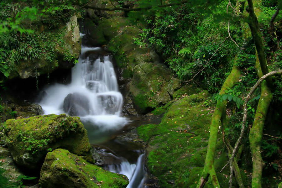 滔々の滝（とうとうのたき）【岡山県真庭市】