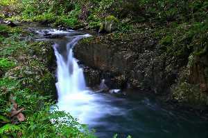 河鹿滝（龍頭八重滝）