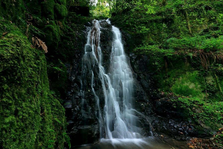 水呑みの滝 (平栃の滝)島根県の滝・吉賀町