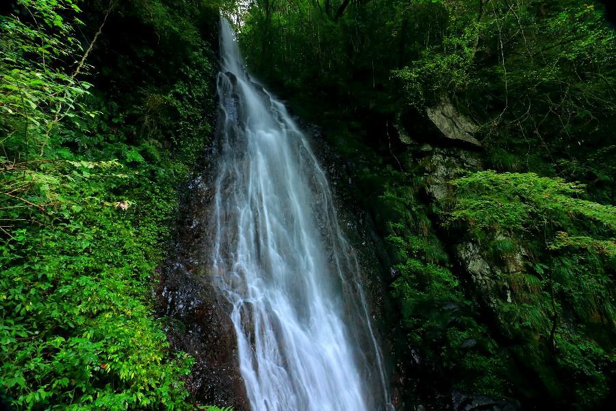 大魚切りの滝　（平栃の滝）島根県の滝・吉賀町