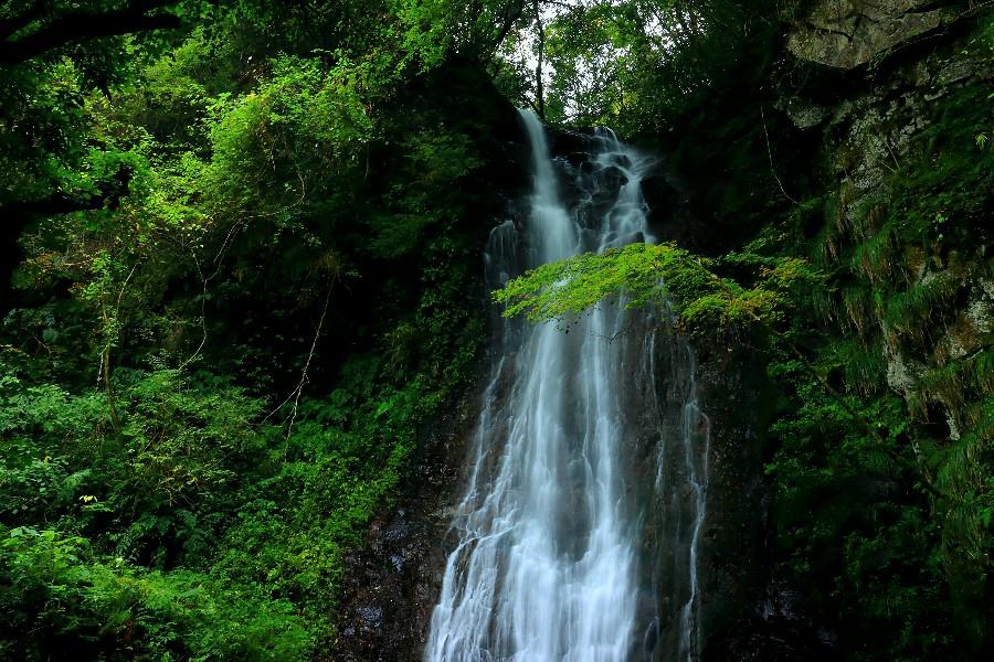 大魚切りの滝 (平栃の滝)島根県の滝・吉賀町