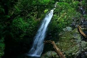 錦鶏の滝（雌滝）