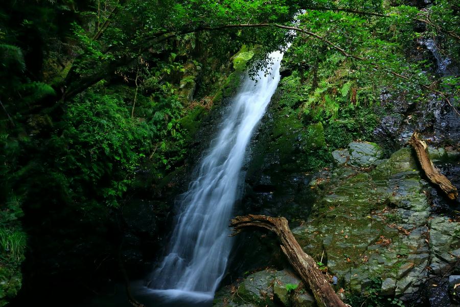 錦鶏の滝(雄滝)・山口県山口市