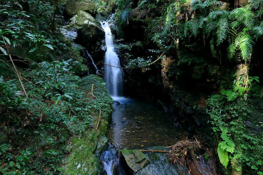 錦鶏の滝（雌滝）の下流にある無名滝・山口県山口市