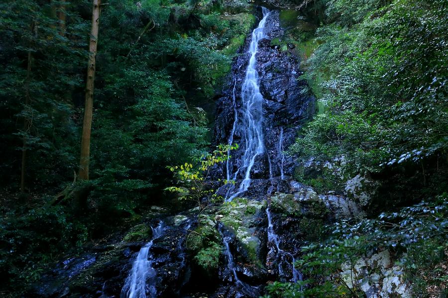 錦鶏の滝(雄滝)・山口県山口市