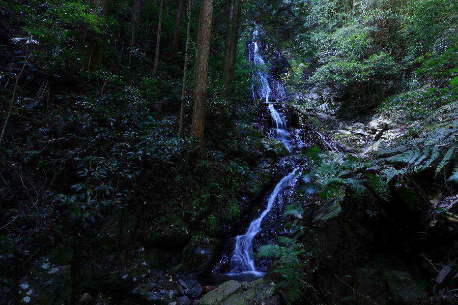 錦鶏の滝(雄滝)・山口県山口市