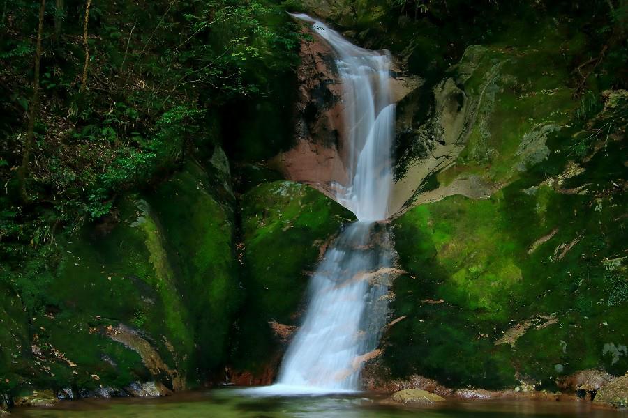 竜尾の滝(りゅうびのたき)・寂地峡五竜の滝(じゃくちきょうごりゅうのたき)・【山口県岩国市】