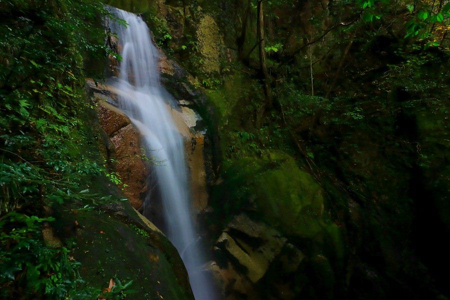 竜門の滝(りゅうもんのたき)・寂地峡五竜の滝(じゃくちきょうごりゅうのたき)・【山口県岩国市】